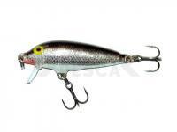 Señuelo Rapala CountDown 11cm - Silver