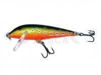 Señuelo Rapala CountDown 5cm - Brook Trout