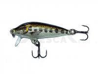 Señuelo Rapala CountDown 5cm - Muddler