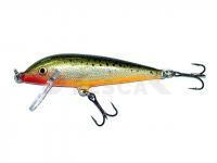 Señuelo Rapala CountDown 5cm - Redfin Spotted Minnow