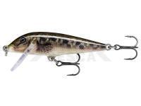 Señuelo Rapala CountDown 7cm - Live Sculpin