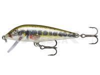 Señuelo Rapala CountDown 7cm - Live Vairon