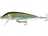 Señuelo Rapala CountDown 5cm - Minnow