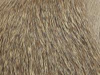 Wapsi Deer Body Hair - 227 Natural Brown