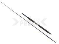 Caña Dega ExxPure Inliner 2.30m 20-30lbs