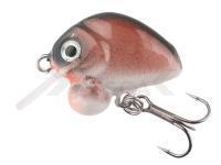 Señuelo HMG Lures Droop Killer 25mm | 3,5g - 03