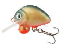 Señuelo HMG Lures Droop Killer 25mm | 3,5g - 07