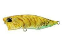 Señuelo DUO Realis Popper 64 SW Limited 64mm 9g - CCC0343 Prawn