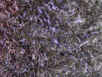 Semperfli EggStatic Egg Fritz 8mm - Black Sturgeon