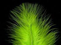 Plumas de Marabu Hareline Extra Select Marabou #54 Chartreuse