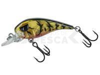 Señuelo Molix FC45 MR Finesse crankbait - 05 Alqueva Craw