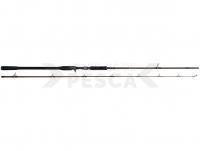 Caña W4 Powershad-T 2nd 8` 240 CM XH 30-90 G