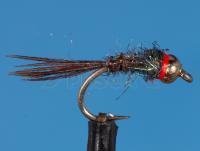 Flash Back Pheasant Tail Nymph #12