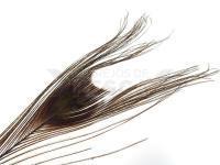 FMFly Peacock Eyes - Brown