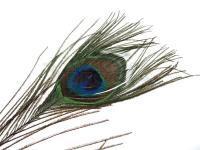 FMFly Peacock Eyes - Natural No Coloured