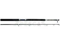 Caña Abu Garcia GT Boat GT 602 1.84m 30lb Heavy