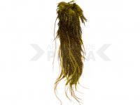 Hareline Dubbin Half Grizzly Saddle - #263 Olive