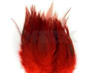 Hareline Woolly Bugger Saddle - Blood Red