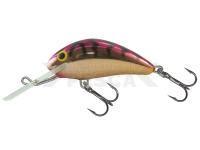 Salmo Hornet H4F VIK