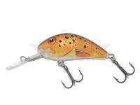 Salmo Hornet H4S - Trout