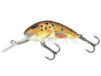 Salmo Hornet H6F   T