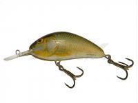 Salmo Hornet H9F RR