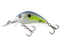 Señuelo Salmo Hornet Rattlin H6.5 - Sexy Shad