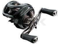 Carrete multipilcadore Daiwa 24 Steez SV TW 100XHL