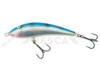 Señuelo Kenart Sneck Shallow 10cm 18g - HBT