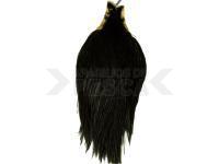 Cuello Keough Tyer`s Grade Cape - Black