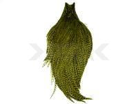 Cuello Keough Tyer`s Grade Cape - Grizzly Dyed Olive