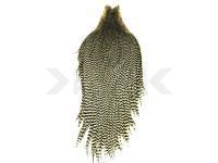 Cuello Keough Tyer`s Grade Cape - Grizzly