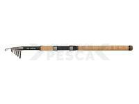 Caña de pescar DAM Iconic2 Backbone Tele Rod 2.40m 60-160g