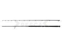 Caña Savage Gear Defiance SG2 Shore Jigging 2.90m 50-120g