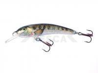 Señuelo Krakusek NR.3 6,5cm Floating - BG