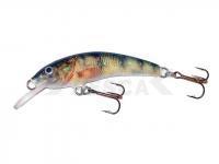 Señuelo Krakusek NR.3 6,5cm Floating - PN