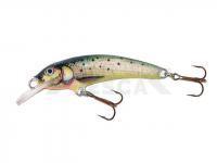 Señuelo Krakusek NR.3 6,5cm Floating - TY