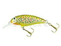 Señuelo Krakusek No.7  5,5cm floating - TRY