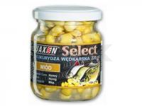 Corn Select - honey