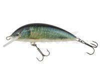 Señuelo Hegemon Lucky 6cm - Szczupak (Pike)