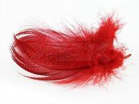 Mallard Barred Flank 056 - Red