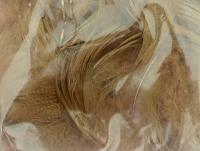 Mallard Duck Drake Grey Flank Large 5-8cm - March Brown