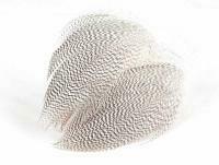 Mallard Duck Drake Grey Flank Large 5-8cm - NATURAL