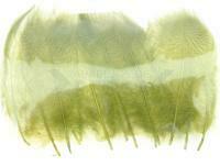 Mallard Duck Drake Grey Flank Medium 4-5cm - Olive / Black