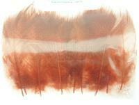 Mallard Duck Drake Grey Flank Medium 4-5cm - Rusty / Black