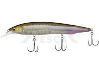 Megabass Kanata+1 F 160mm 30.0g FA Ghost Wakasagi