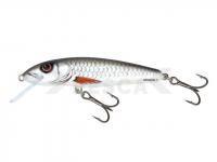 Señuelo Salmo Minnow M5F - Dace