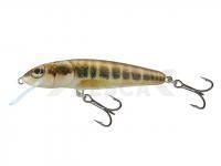 Señuelo Salmo Minnow M5F - Minnow