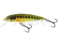 Señuelo Salmo Minnow M5S - Holo Real Minnow