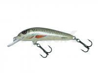 Señuelo Salmo Minnow M7F - Dace